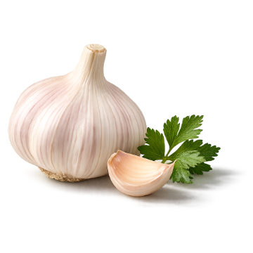 360x360-bild-Knoblauch