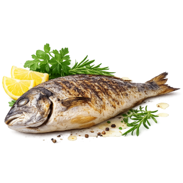 360x360-bild-Fisch